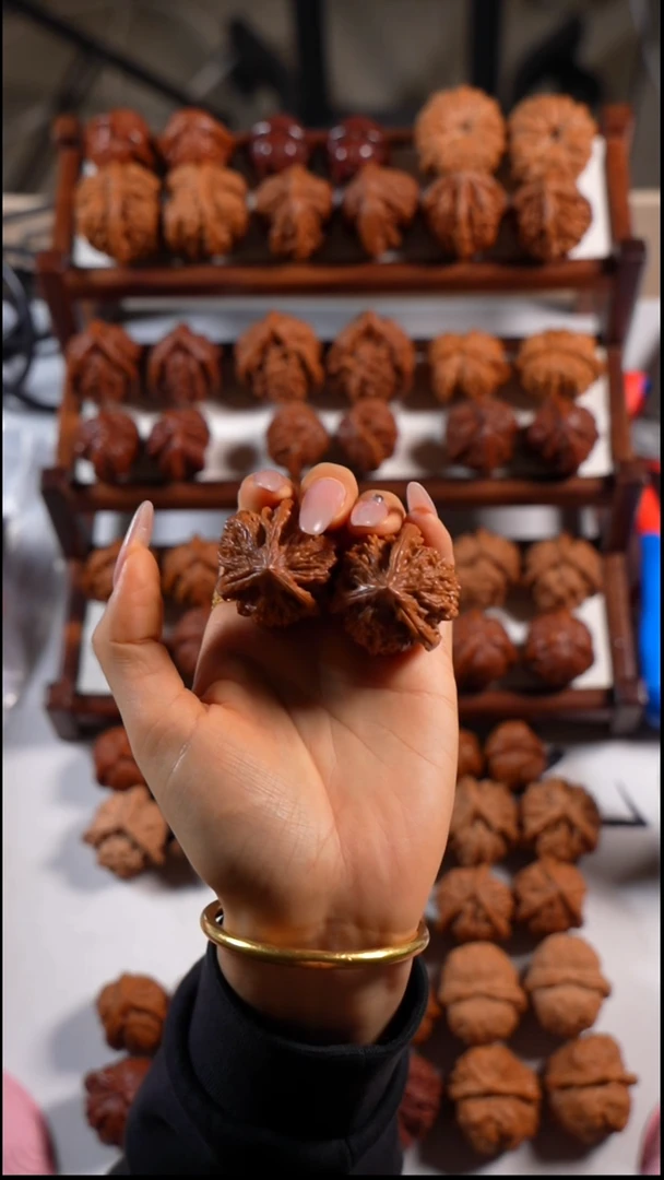 木质类虎头三棱6666