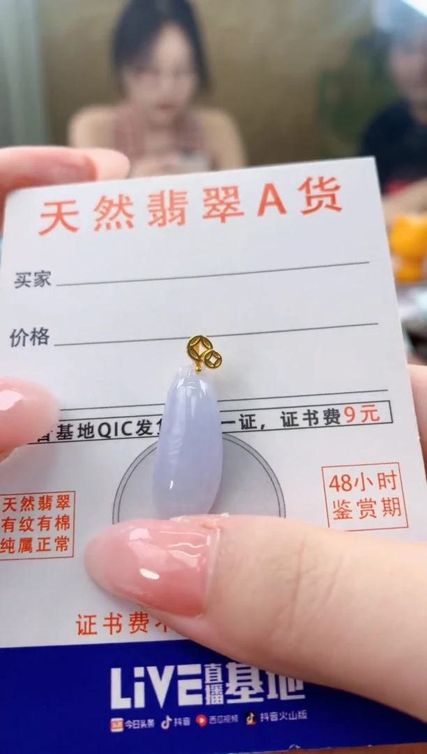 颈饰未镶嵌翡翠天然A货翡翠挂件