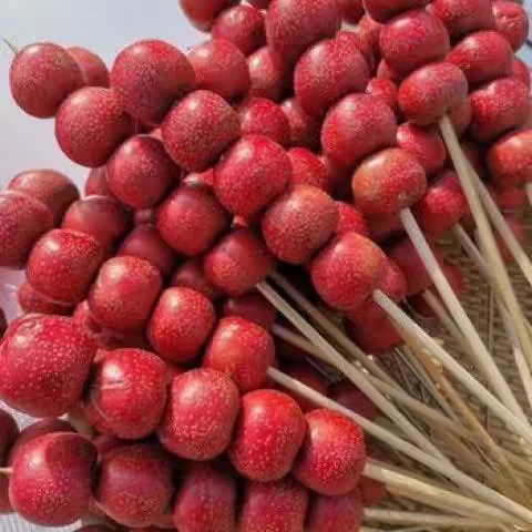 蓟县大山大金星山楂