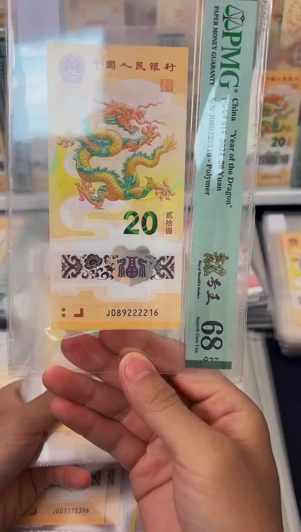 塑料24年龙钞狮身朦胧号-PMG68