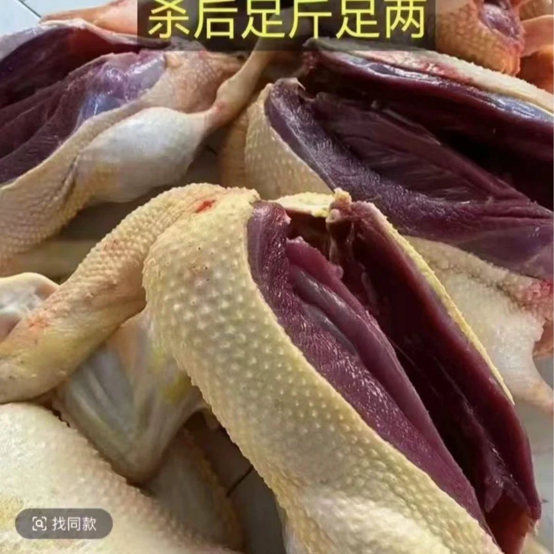 （精选4只）自然成长土鸭散养土鸭3-4个月白条无掌翅内脏顺丰冷链