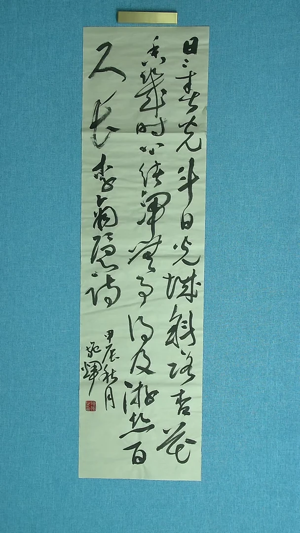 【闪购商品】书法248 江西施辉中书协95*24