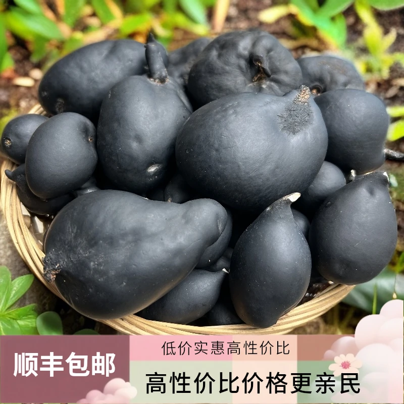正宗云南建勇山货新鲜乌灵参顺丰包邮