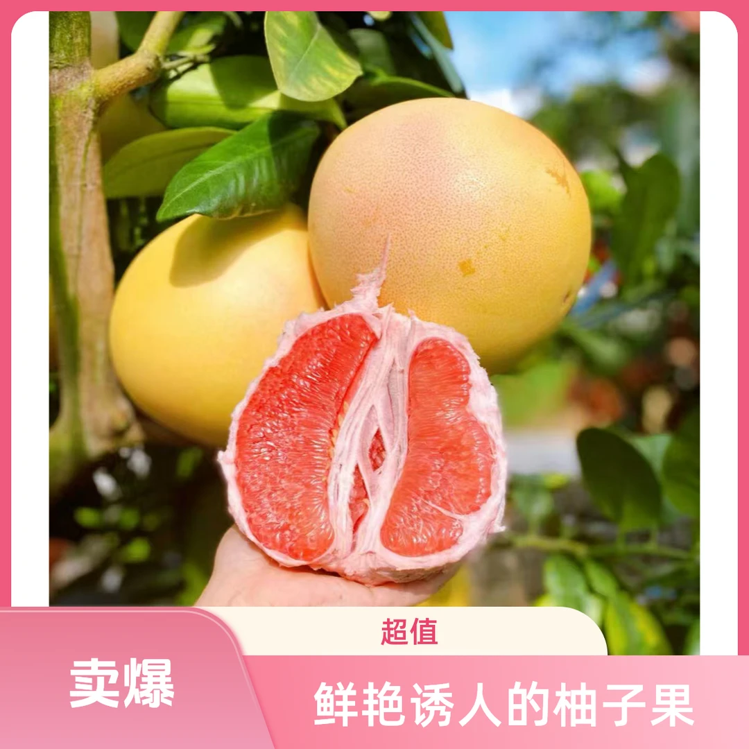 【双11】福建漳州平和青皮果琯溪孕妇当季新鲜老树红心蜜柚果肉柚子