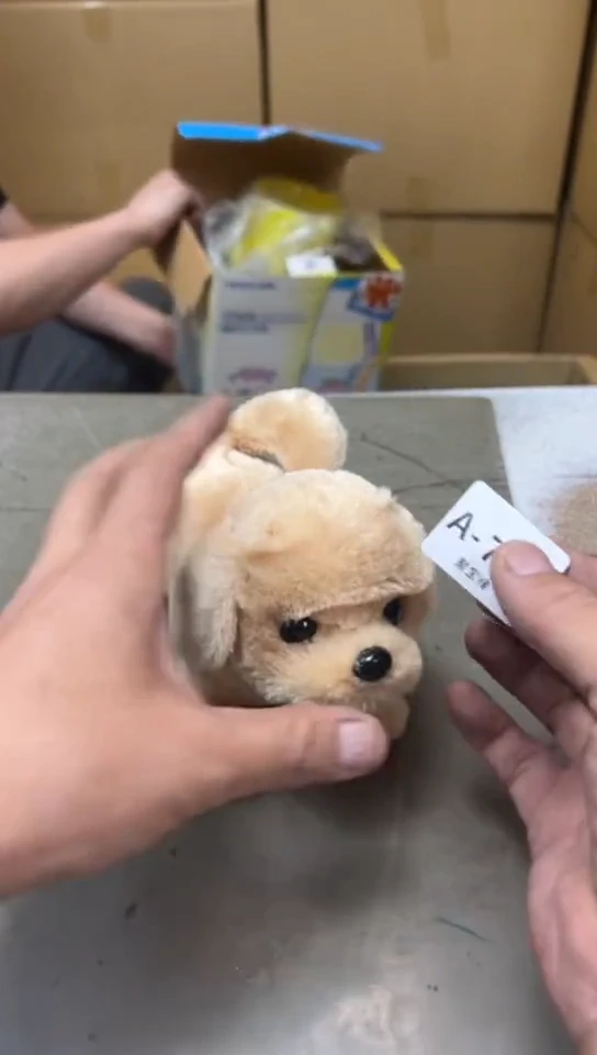 瓷片784聚宝缘海淘精选