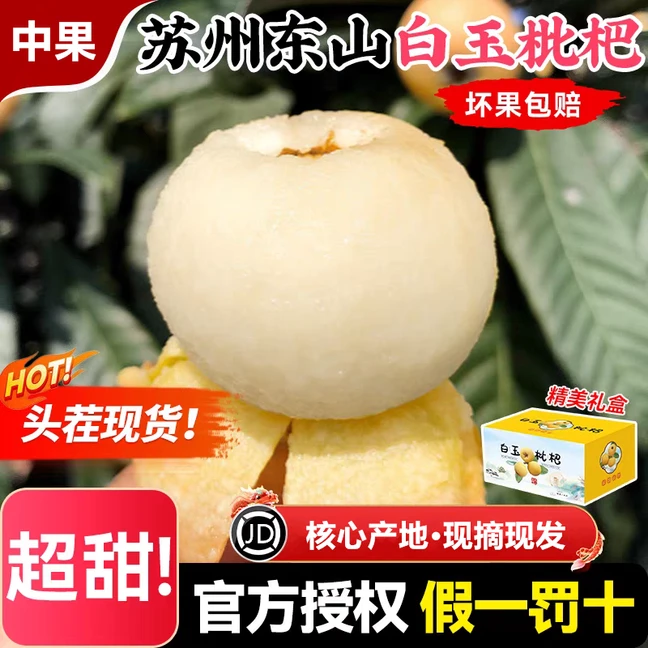【正宗东山白玉枇杷中小果】白玉枇杷核心产区新鲜采摘10-20g中小果礼盒
