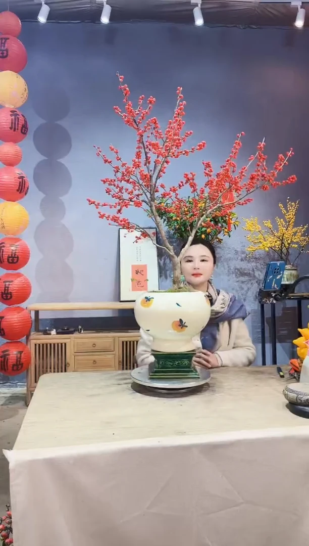 【闪购商品】盆景北美冬青