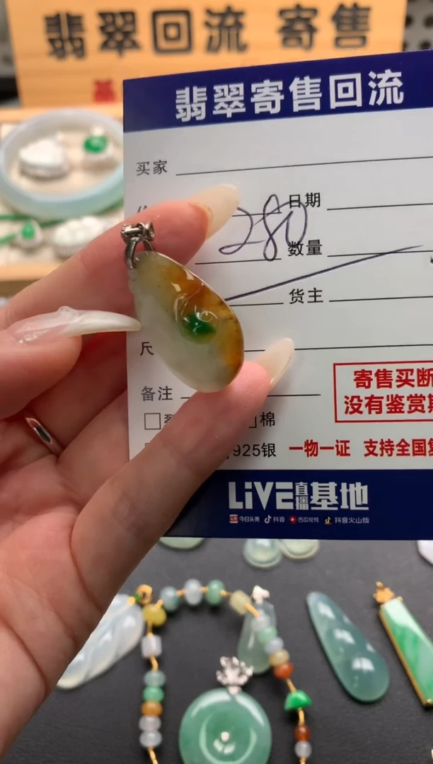 翡翠未镶嵌颈饰10138582