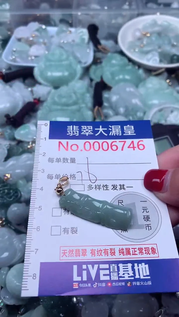 颈饰未镶嵌翡翠6746