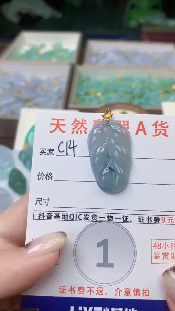 颈饰未镶嵌翡翠天然A货翡翠挂件