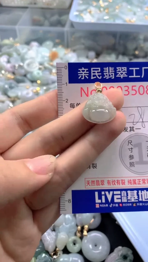 颈饰未镶嵌翡翠3508