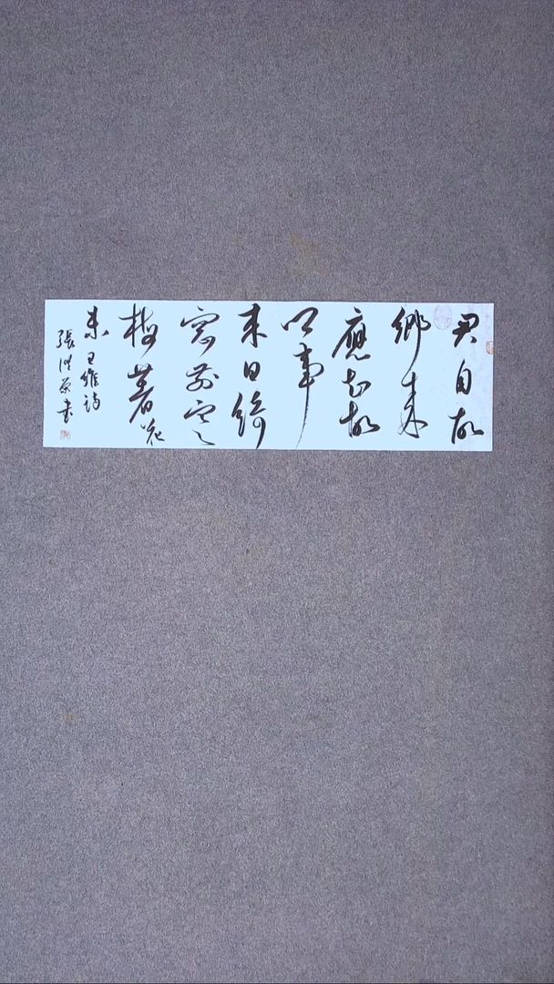 书法张洪荣 贵州 副主69*23尺寸