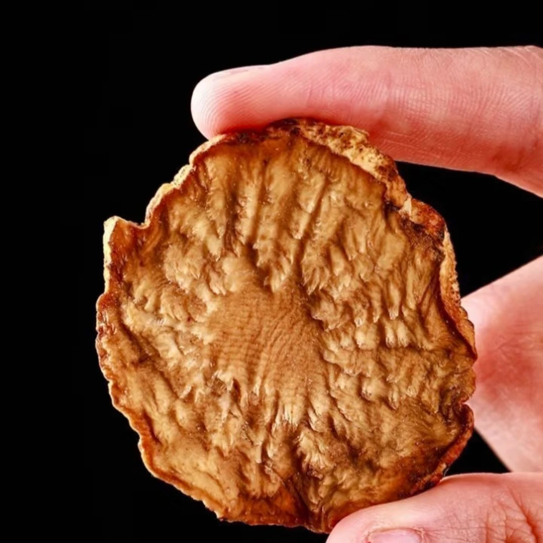 漳府人家肉苁蓉内蒙古阿拉善鲜切干片可配三枝九叶草泡水煮水泡酒