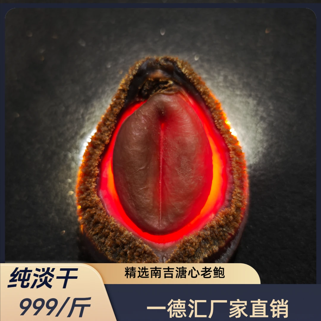 (海吉星）老南非吉鲍鲍鱼十二年老货福利款