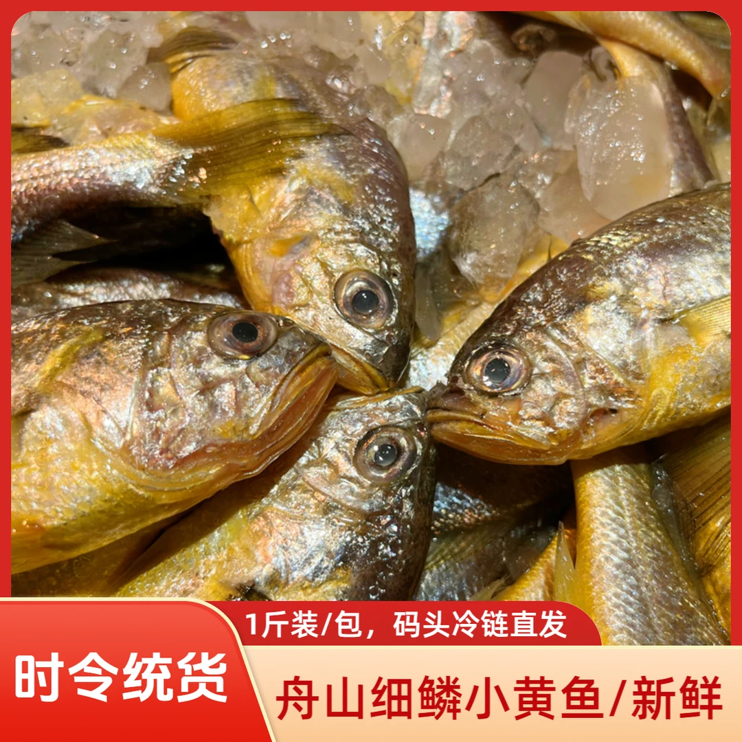 【热气货任选】舟山海捕 细鳞小黄鱼 黄花鱼 深海海捕1/斤装包 新鲜