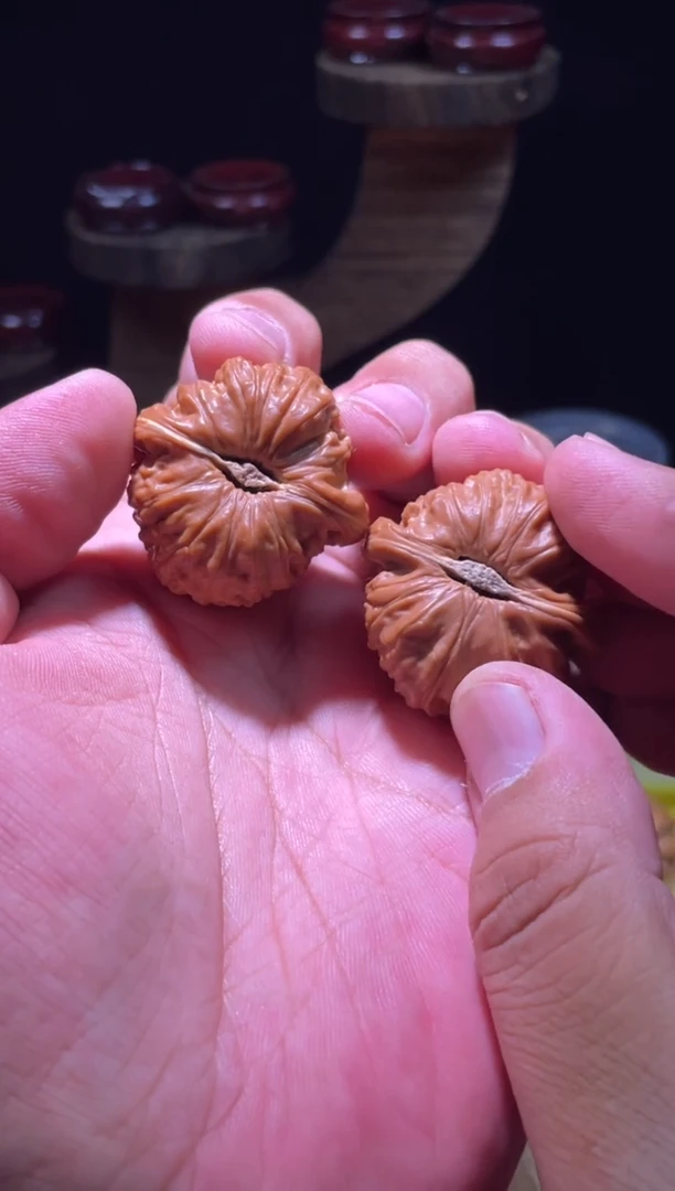 文玩核桃把件34小尺寸手撵口袋宝白狮子卡姿兰