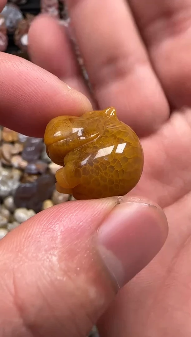 【闪购商品】硅化珊瑚（珊瑚玉）颈饰未镶嵌648