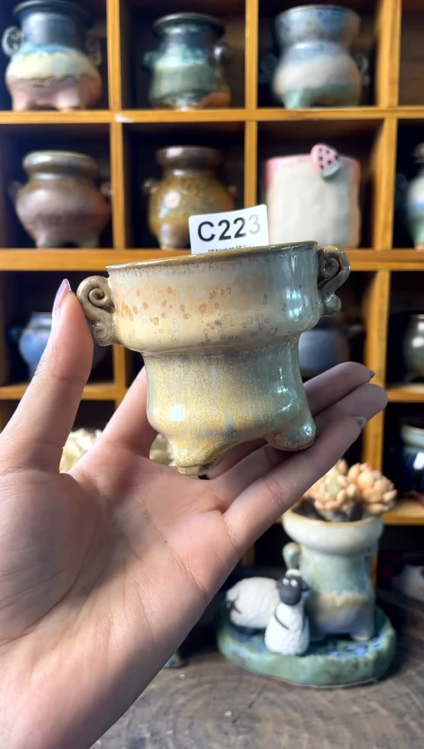 223内口6【多肉花盆多肉盆】