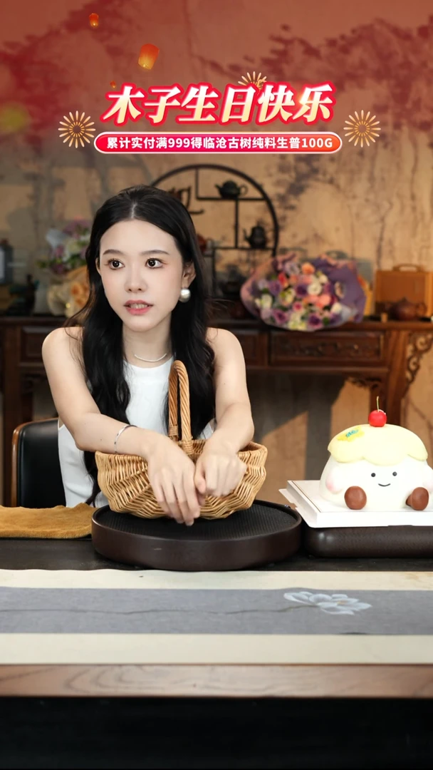 茶壶紫砂8-6 木子生日福利瓷器套组二驾驶舱