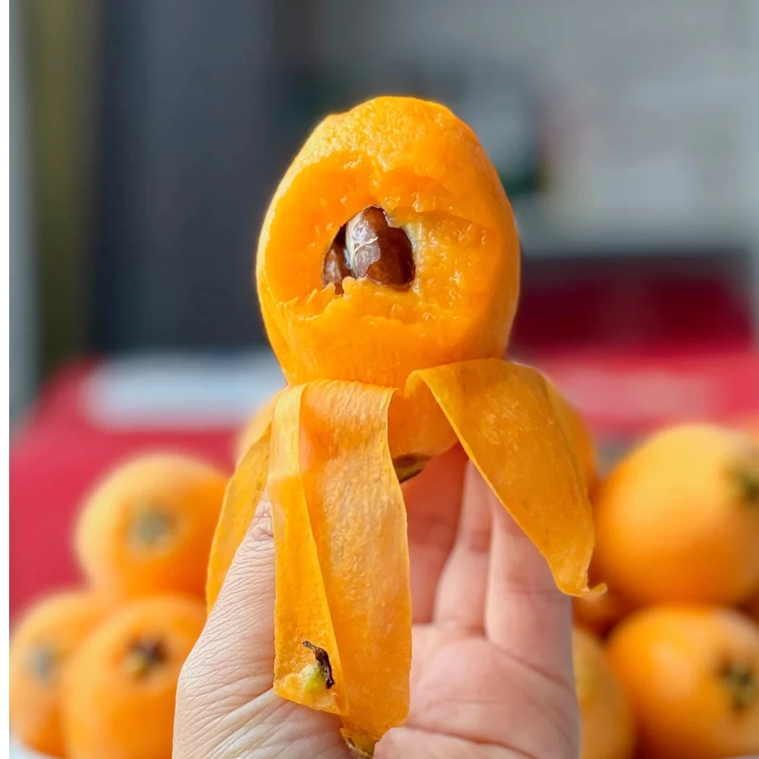 【超甜枇杷】新鲜采摘皮薄多汁孕妇一斤装