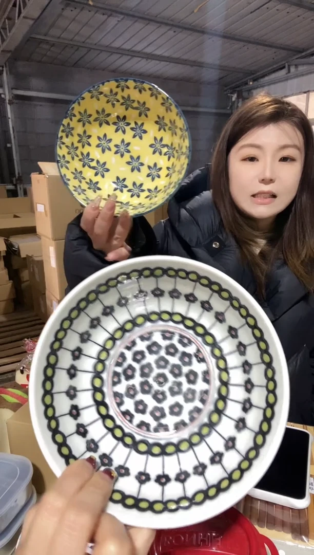 【闪购商品】波西尼亚大碗两只