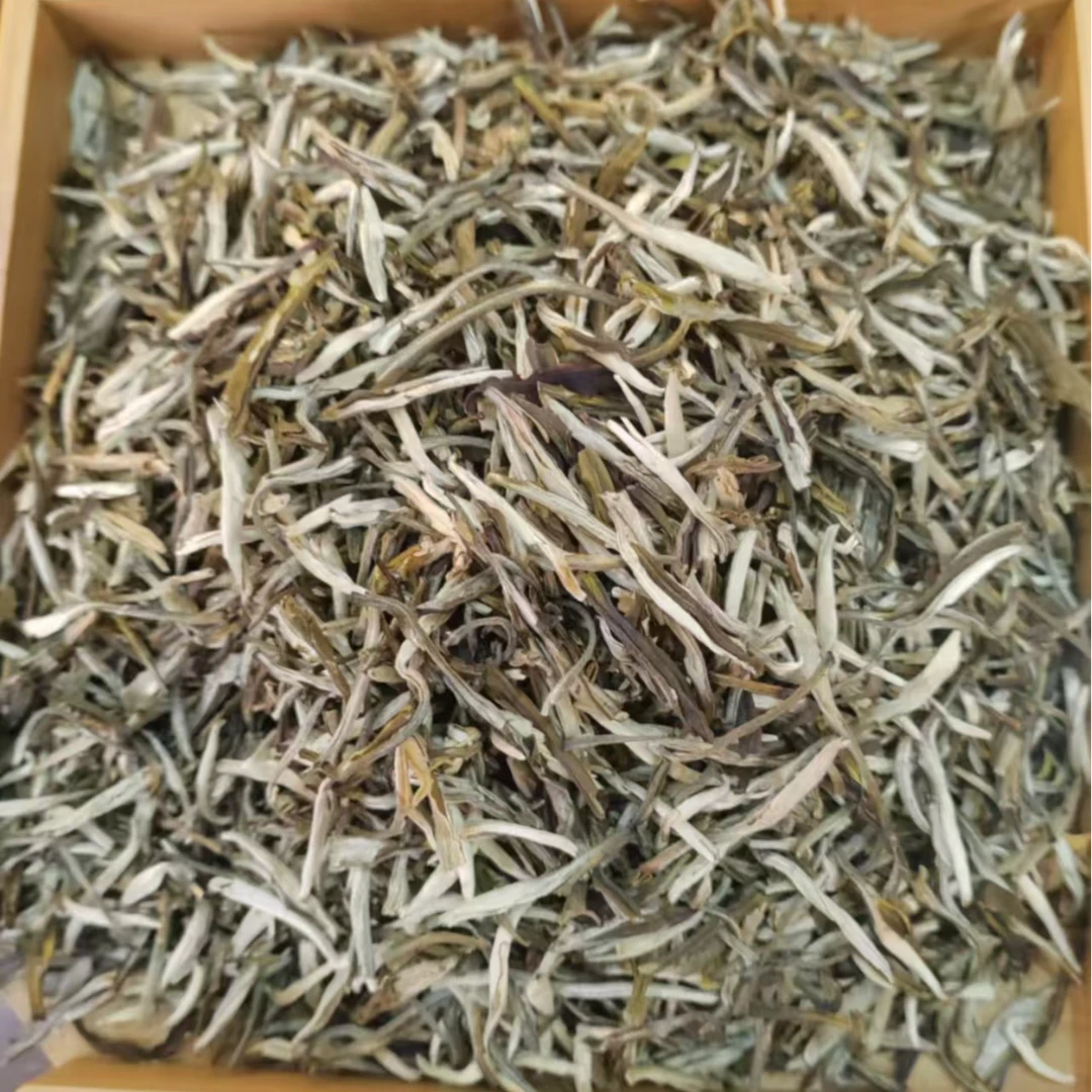 茉莉茶王2025新茶春茶茉莉花香