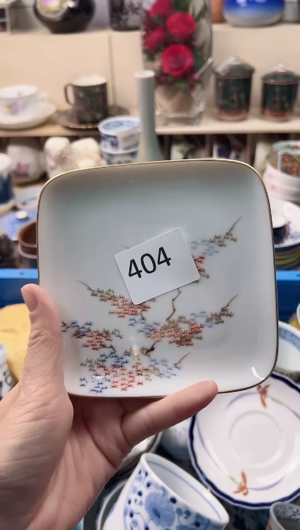 瓷片柏*