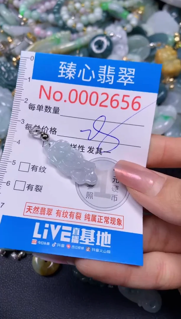 【闪购商品】翡翠颈饰未镶嵌含绳0002656