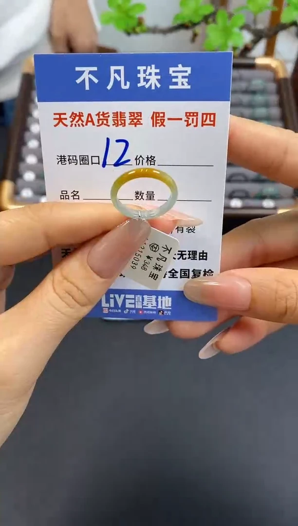 未镶嵌戒指翡翠天然A货翡翠15039