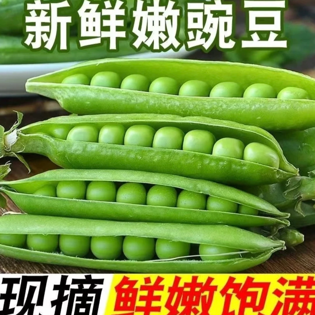 云南高山露天老品种豌豆农家自种现摘现发