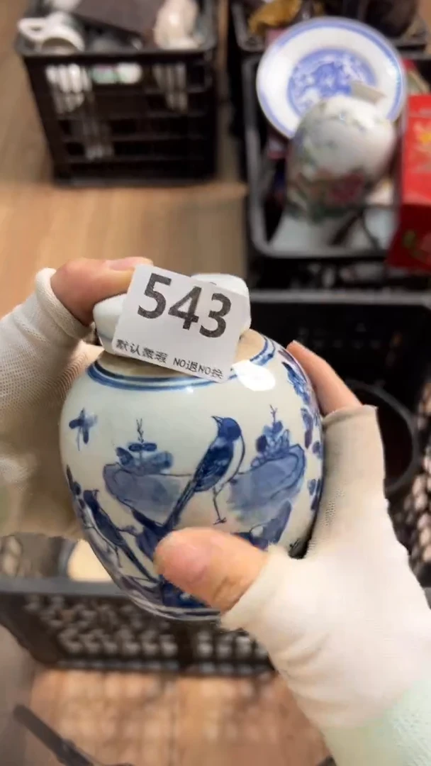 陶瓷老*2025.12.20号543