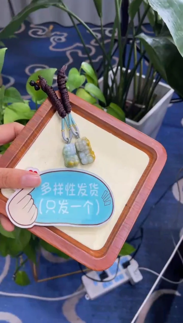 颈饰未镶嵌翡翠9909*****