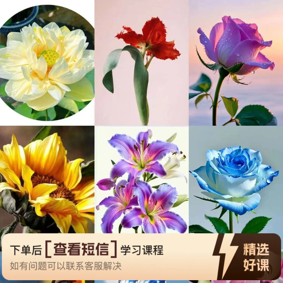 彩铅教你花精美花卉（留意短信解锁课程）