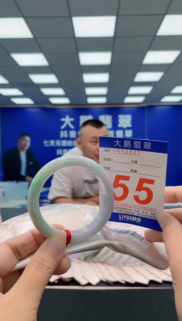 未镶嵌手镯翡翠AAAAAAAAA