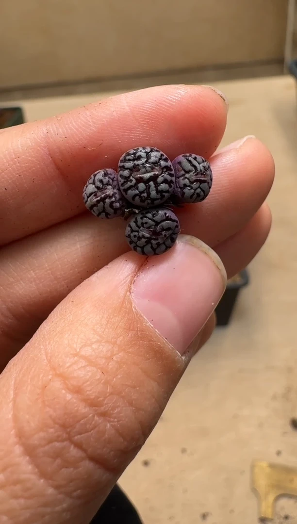 【闪购商品】1/21-48