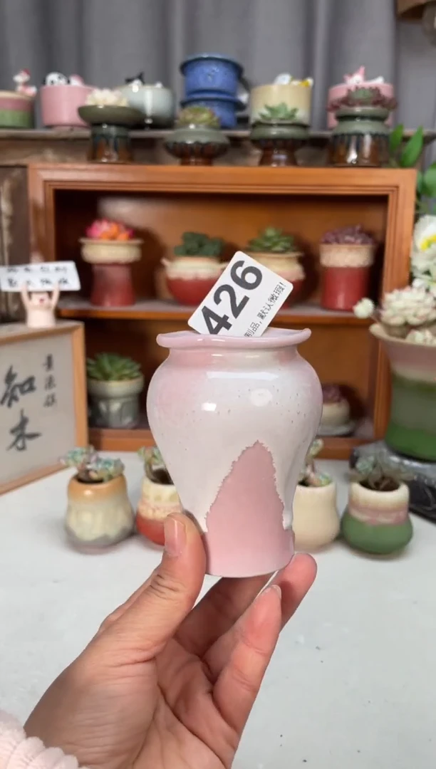 瓷片426小芳花盆编号