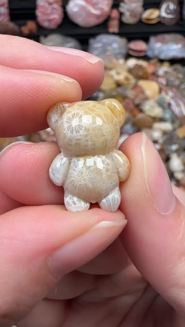 颈饰未镶嵌硅化珊瑚（珊瑚玉）511