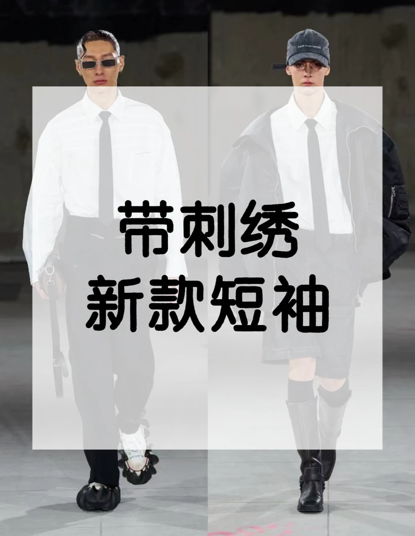 【3665】早春新款时尚百搭休闲刺绣短袖 T恤3665