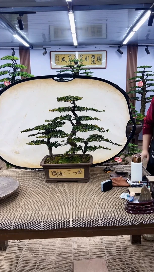 【闪购商品】00000000