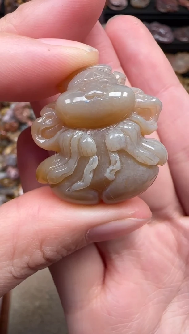 颈饰未镶嵌硅化珊瑚（珊瑚玉）705