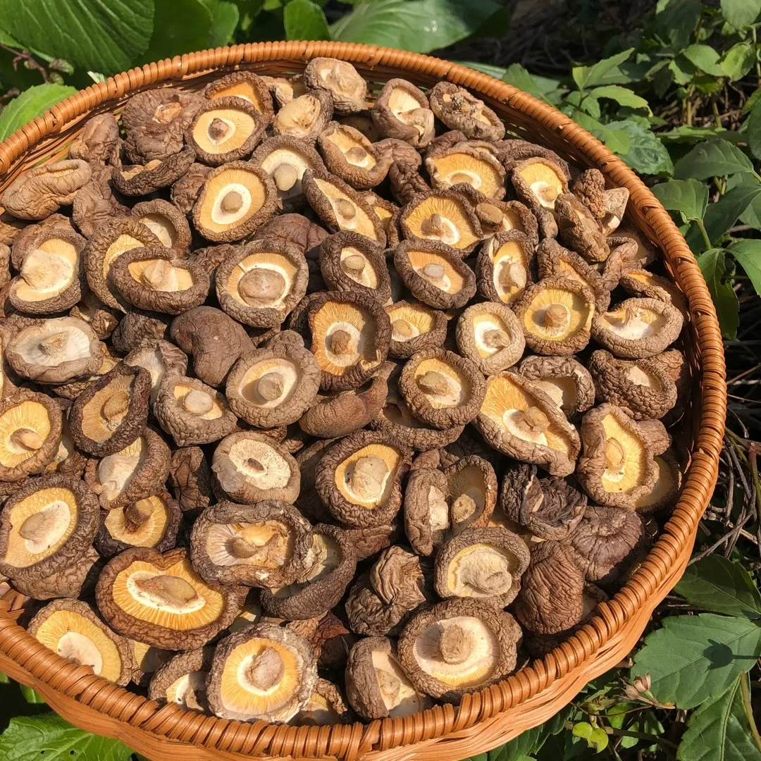 【山货】小香菇干货云南蘑菇小香菇香菇菌菇火锅食材煲汤材料