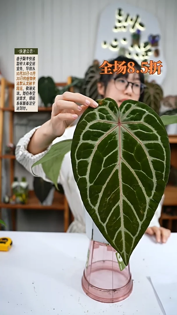 完全开放Z81红水晶杂撕裂纹     微瑕