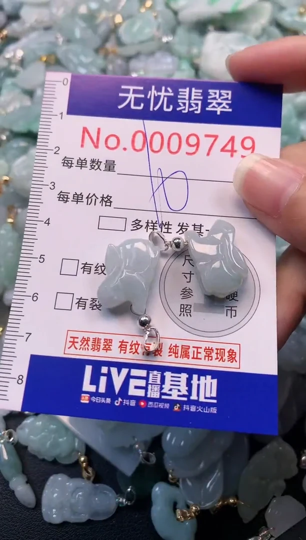 颈饰未镶嵌翡翠9749
