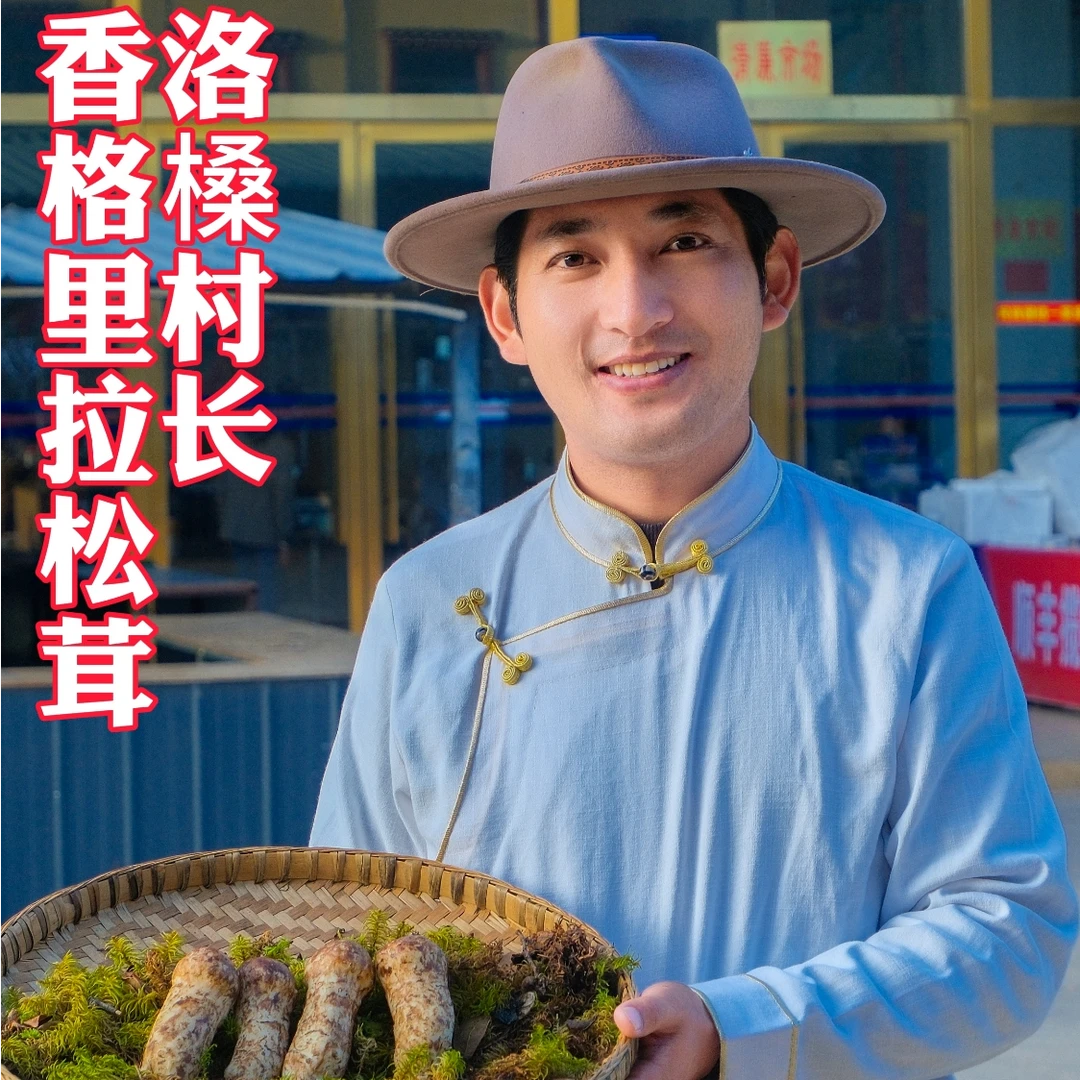 【2025年香格里拉鲜松茸】原产地直发，顺丰空运冷链，当天现采现发