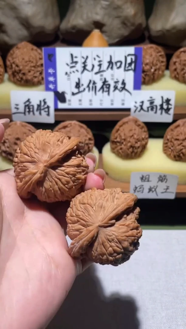 把件文玩核桃℡****?白狮子