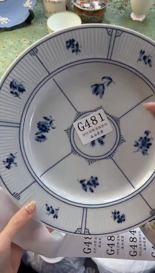 【闪购商品】瓷片          G481