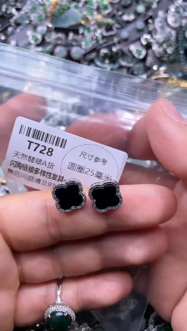 【闪购商品】翡翠颈饰未镶嵌T728耳钉