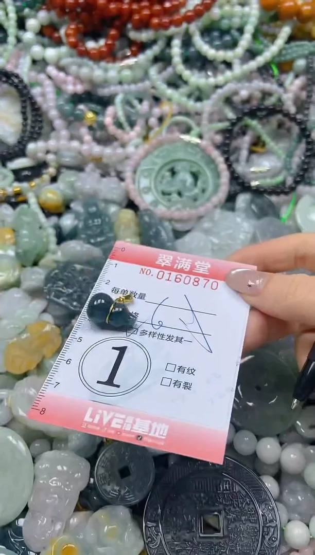 翡翠未镶嵌颈饰闪购0160870多样性发其一