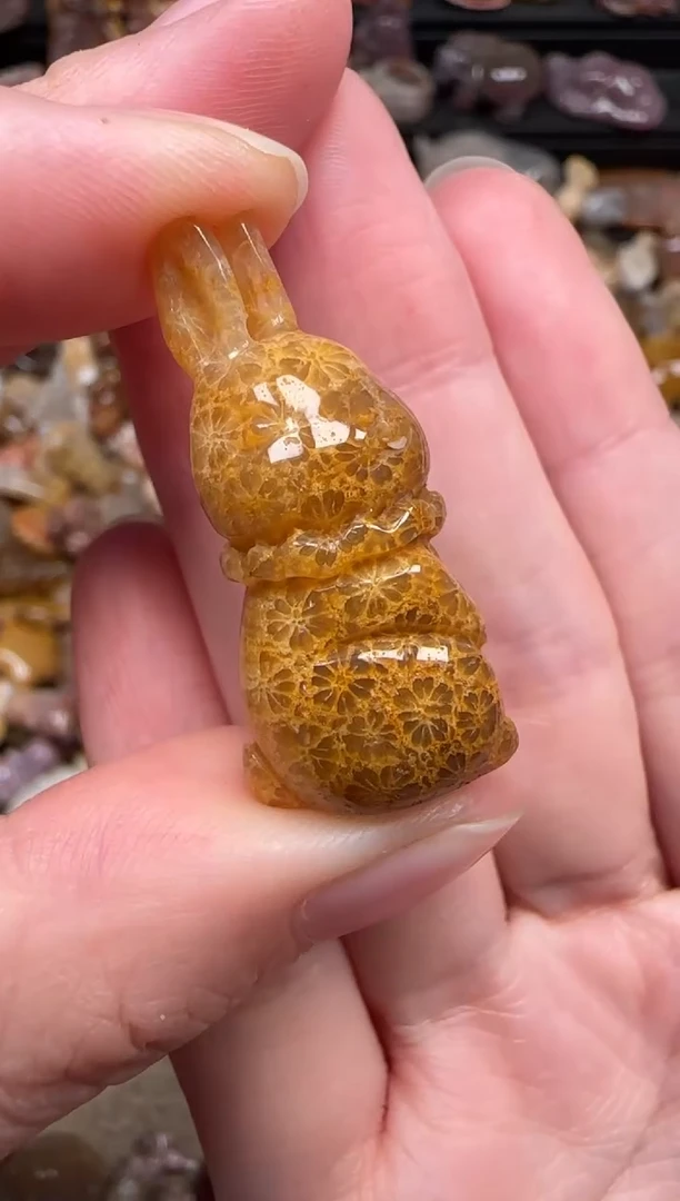 颈饰未镶嵌硅化珊瑚（珊瑚玉）831