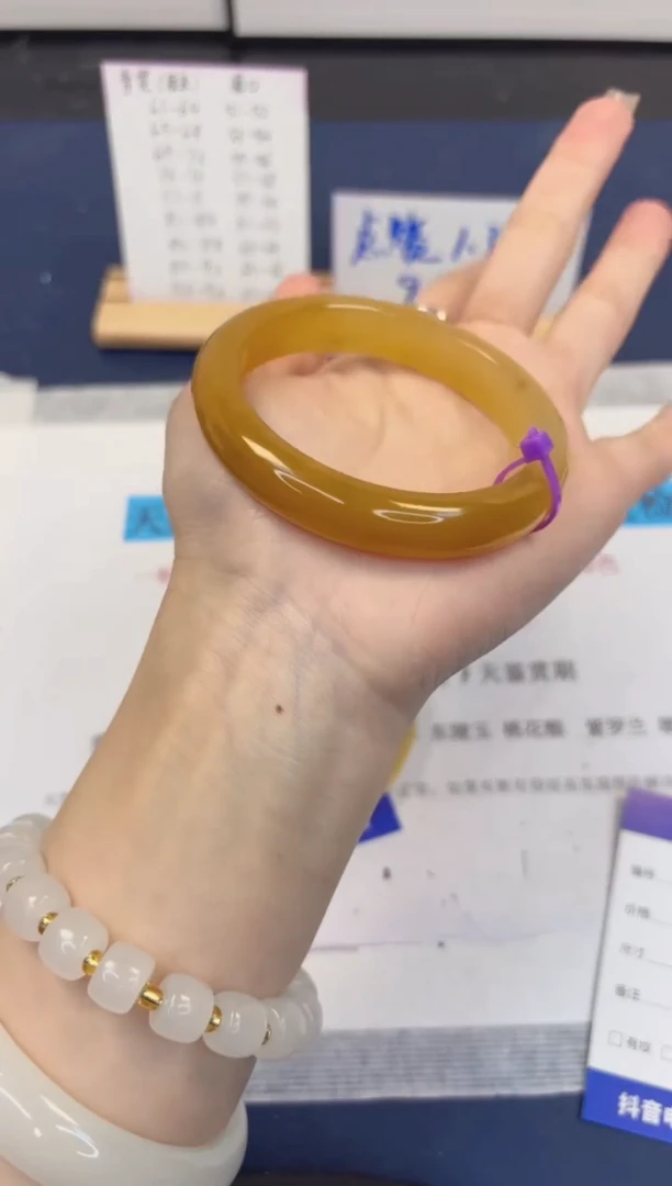 【闪购商品】石英质玉手镯未镶嵌491-财气镯-圈口57